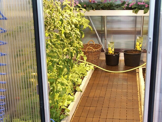 BoFudra balkonvloer 12 mm-houtlook- grijs