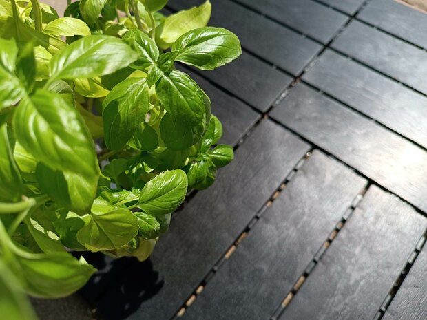 BoFudra balkonvloer 12 mm-houtlook- zwart