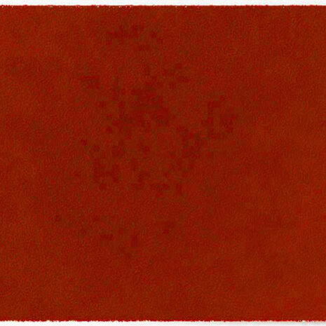 ColorStar Earth binnendeurmat-terracotta-85x150 cm