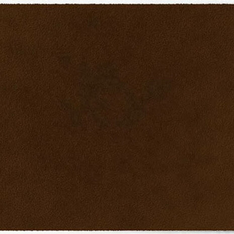 ColorStar Earth binnendeurmat-walnoot-60x85 cm