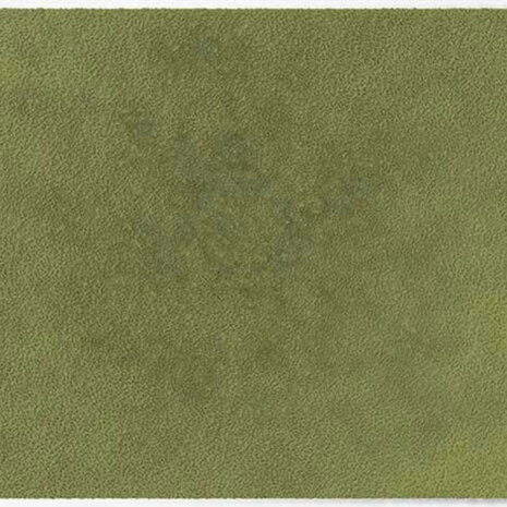 ColorStar Forest binnendeurmat-light-sage-85x115 cm