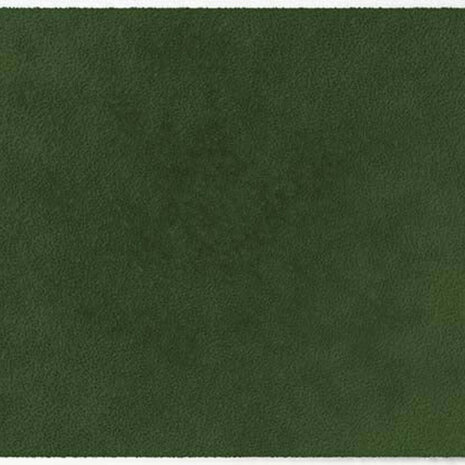 ColorStar Forest binnendeurmat-olive-60x85 cm