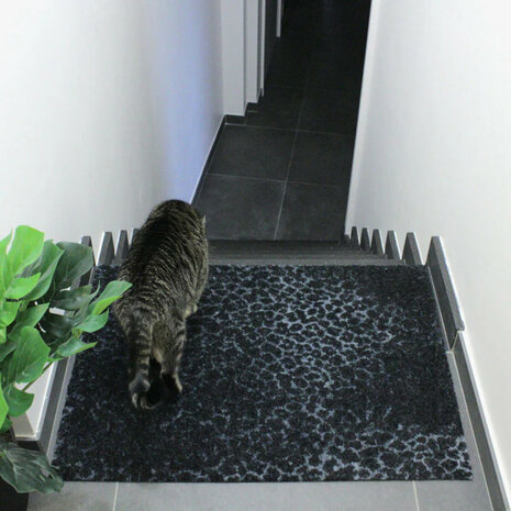 ColorStar- Leopard- binnendeurmat-marineblauw-60x85 cm