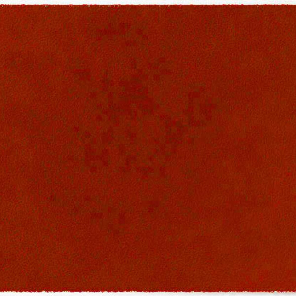ColorStar Earth binnendeurmat-terracotta-60x85 cm