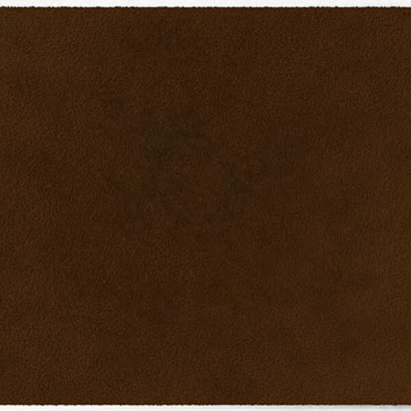 ColorStar Earth binnendeurmat-walnoot-85x150 cm