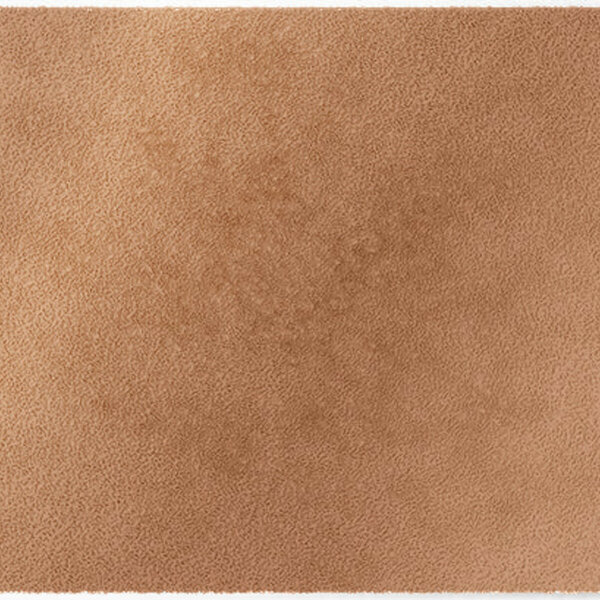 ColorStar Earth binnendeurmat-lichtbruin-60x85 cm