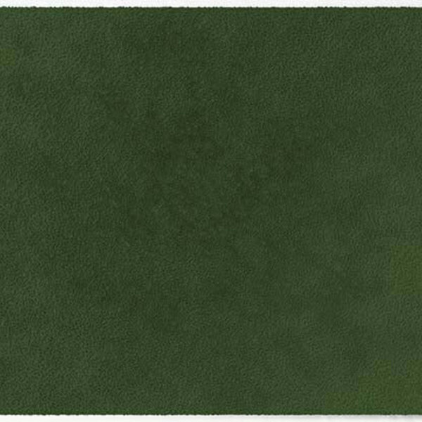 ColorStar Forest binnendeurmat-olive-60x85 cm