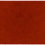 ColorStar Earth binnendeurmat-terracotta-85x150 cm