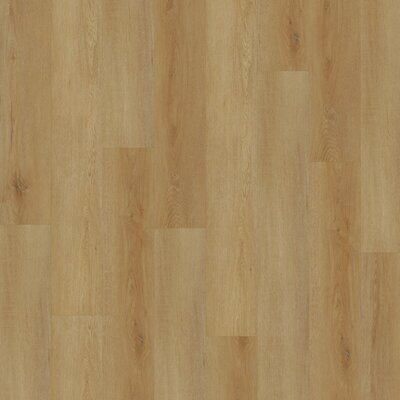 Sonderangebot PVC Klickboden Venus 0.55 Delicate Oak Amber Sonderangebot PVC Klickboden Venus 0.55 Delicate Oak Amber