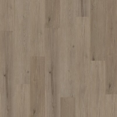 Sonderangebot PVC Klickboden Venus 0.55 Aspen Dark Oak Greige Sonderangebot PVC Klickboden Venus 0.55 Aspen Dark Oak Greige