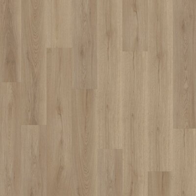 Sonderangebot PVC Klickboden Venus 0.55 Nordic Oak Greige Sonderangebot PVC Klickboden Venus 0.55 Nordic Oak Greige