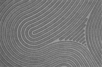 Fußmatte WaterHog Fingerprint Grey 55x85 cm