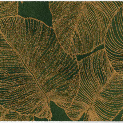 ColorStar Botanica Innenfußmatte –Kiefergrün-85x150 cm