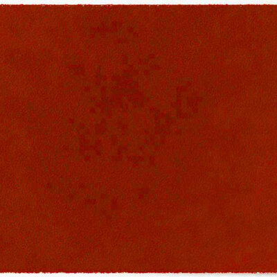 ColorStar Earth Innenfußmatte –Terrakotta– 60 × 85 cm