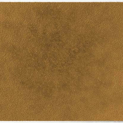 ColorStar Earth Innenfußmatte –Ocker– 85x115 cm