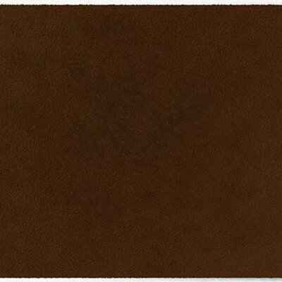 ColorStar Earth Innenfußmatte –Walnuss– 60 × 85 cm