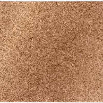 ColorStar Earth Innenfußmatte –Hellbraun– 60 × 85 cm