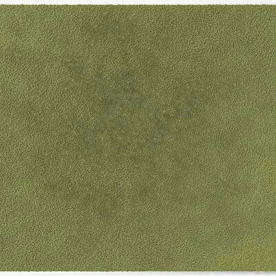 ColorStar Forest Innenfußmatte –Helles Salbeigrün– 60 × 85 cm