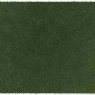 ColorStar Forest Innenfußmatte –Olive– 60 × 85 cm