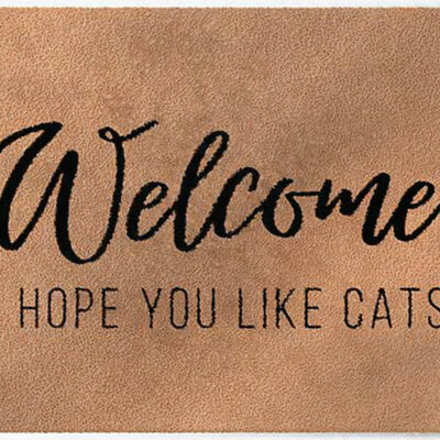 ColorStar-I Hope you like cats- Innenfußmatte –Kamel– 85x150 cm